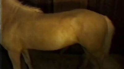 Horse Ardcore Creampie