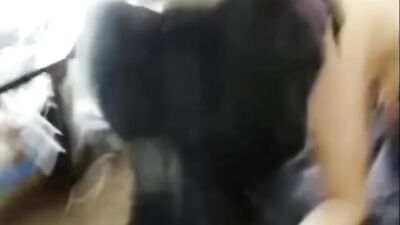 couple and couple of dogs