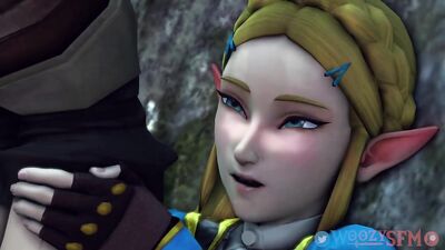 Zelda animation. WoozySFM
