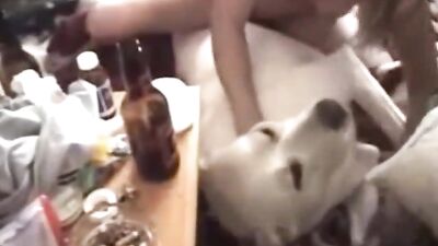 Dog sex girl