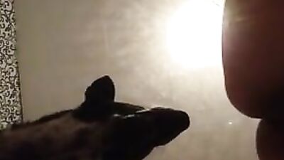 Wild Zoo Girl Gets Down And Dirty With Her Loyal Canine Companion