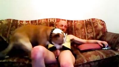 Crossed dressed male dog sex