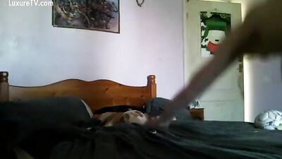 Dogs bitch