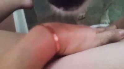 Hot dog 2