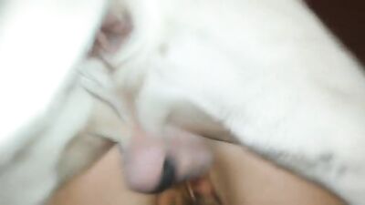 Puppy Love: Argentine Babe Slobbers Cum From Hot Dog