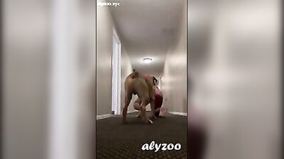 Risky dog fuck