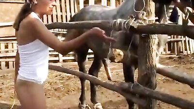 teen suck horse