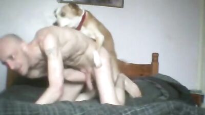 Male take his dogs knot