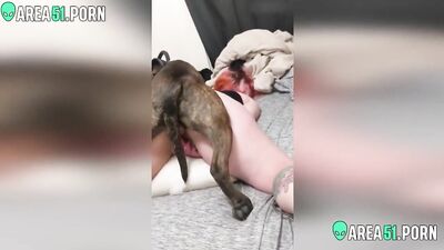 Breed Her Like A Pet Slut