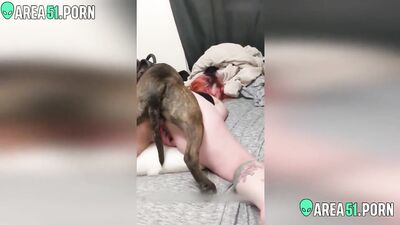 Breed Her Like A Pet Slut