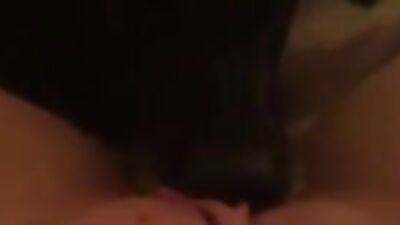 Dog lick pussy2