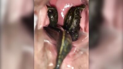 leeches in pussy 03