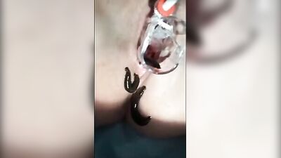 leaches in pussy 01