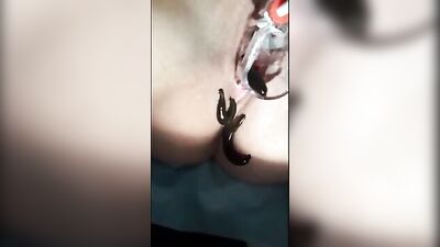 leaches in pussy 01