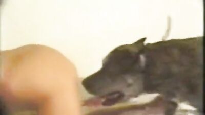 Amateur-Sex-Tape