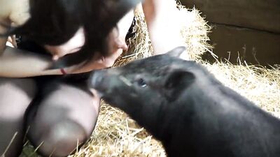 Yasmin feeding pig