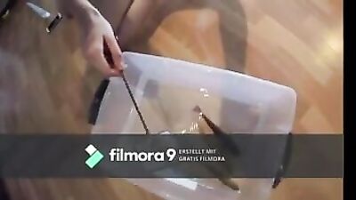 Fish in my beautiful pussy