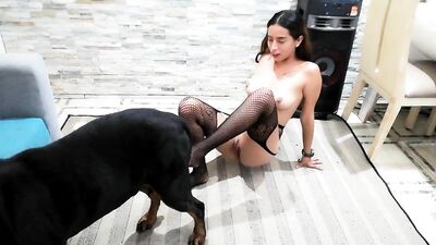 dog sucking