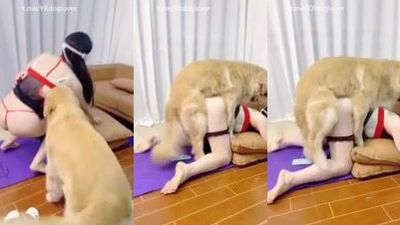 asian dog slut