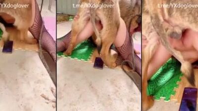 Chinese hot wife with her husbands DOG