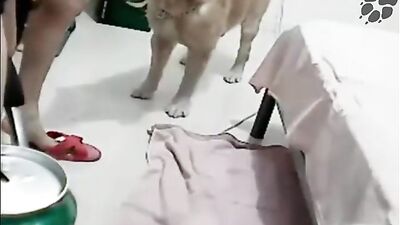 Nice fuck in China