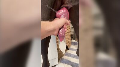 Dirty Teen Seduces Two Trusting Dogs