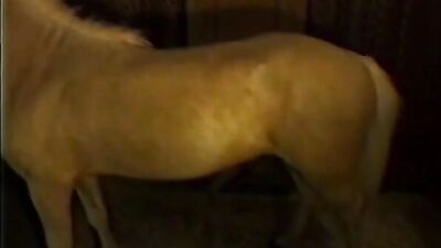 Horny Man Fucks Cute Girl on Active Horse
