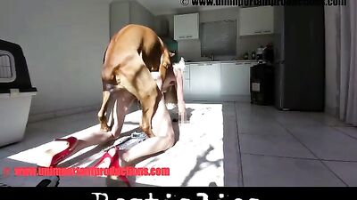 porcelain black short movie
