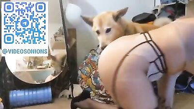 True amateur doglove