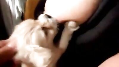 Woman gives puppy to suck 1