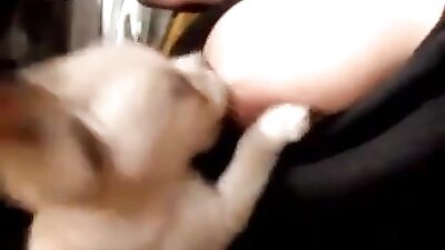 Woman gives puppy to suck 1