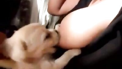 Woman gives puppy to suck 1
