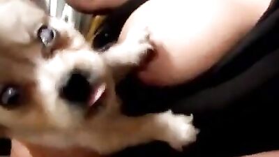 Woman gives puppy to suck 1