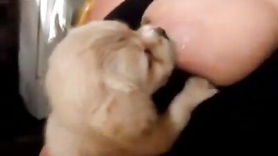Woman gives puppy to suck 1