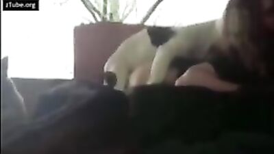 Taylors Pup Loves Sucking Her Cock