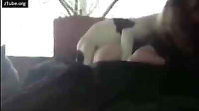 Taylors Pup Loves Sucking Her Cock