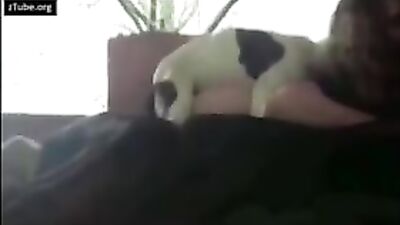Taylors Pup Loves Sucking Her Cock