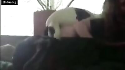 Taylors Pup Loves Sucking Her Cock