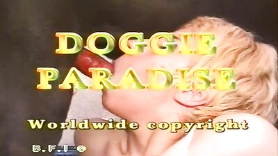 Doggie Paradise