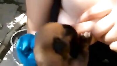 Need more puppies