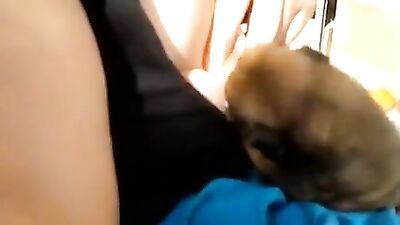 Need more puppies