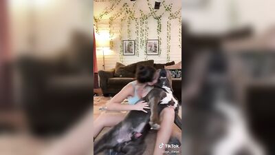 zoo dog
