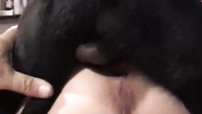 Milf wife