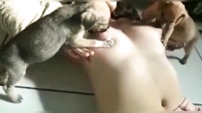 feeding