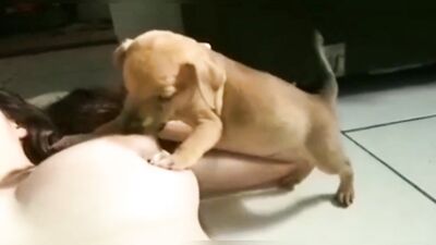 feeding