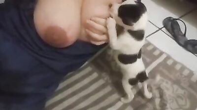 Breastfeeding puppies 2