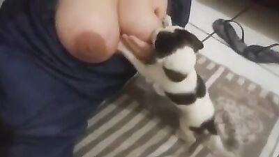 Breastfeeding puppies 2