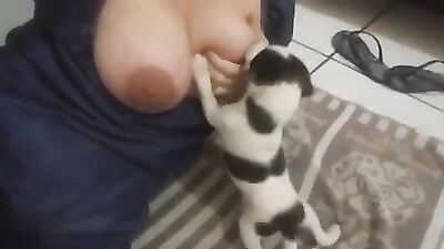 Breastfeeding puppies 2