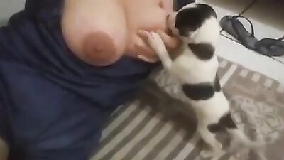 Breastfeeding puppies 2