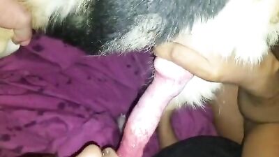 Preta gostosa